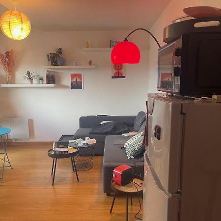 Appartement Au Centre Ville De 圖盧茲 外观 照片