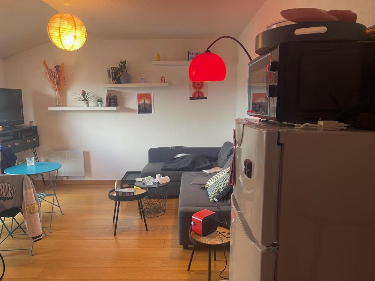 Appartement Au Centre Ville De 圖盧茲 外观 照片